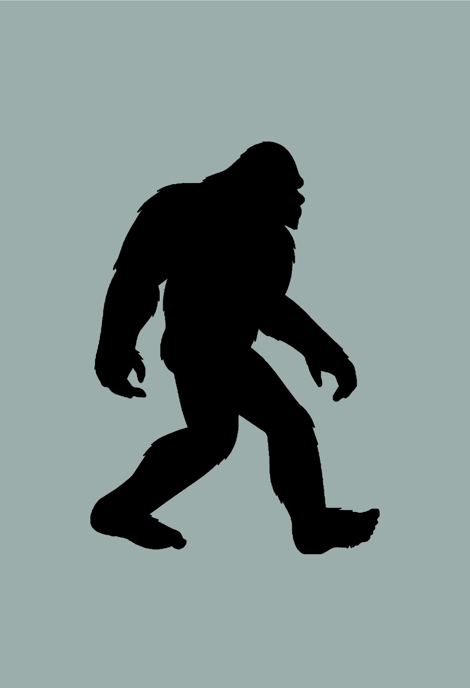 Sasquatch